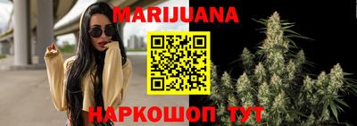 дмт Будённовск