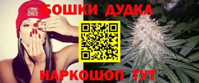 дмт Будённовск
